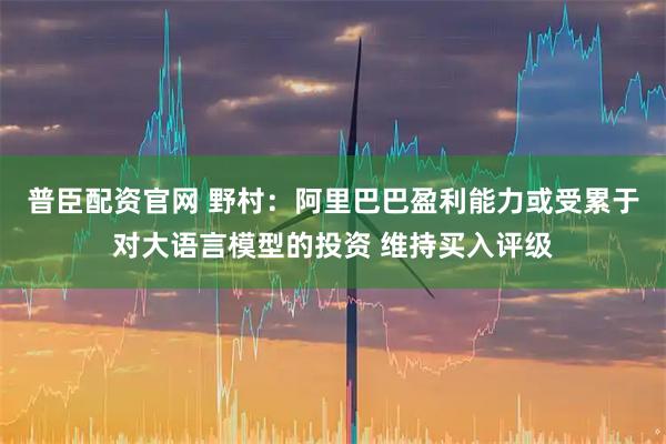 普臣配资官网 野村：阿里巴巴盈利能力或受累于对大语言模型的投资 维持买入评级