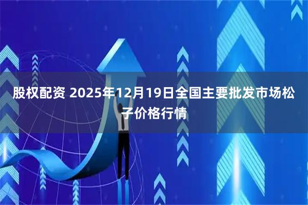 股权配资 2025年12月19日全国主要批发市场松子价格行情