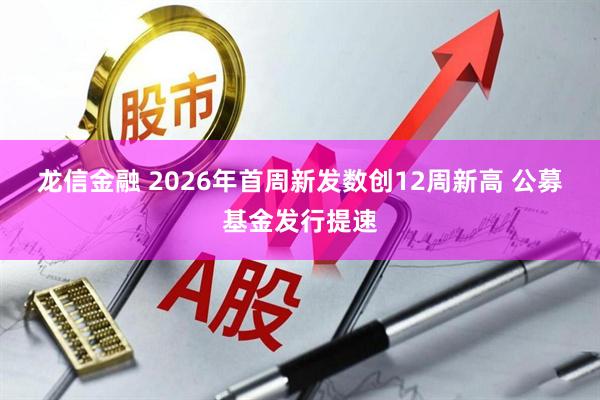 龙信金融 2026年首周新发数创12周新高 公募基金发行提速