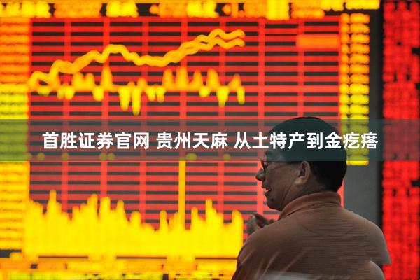 首胜证券官网 贵州天麻 从土特产到金疙瘩