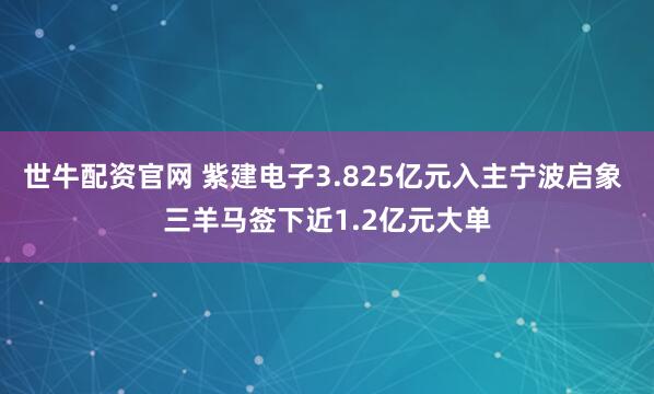 世牛配资官网 紫建电子3.825亿元入主宁波启象 三羊马签下近1.2亿元大单