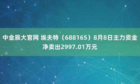 中金辰大官网 埃夫特（688165）8月8日主力资金净卖出2997.01万元